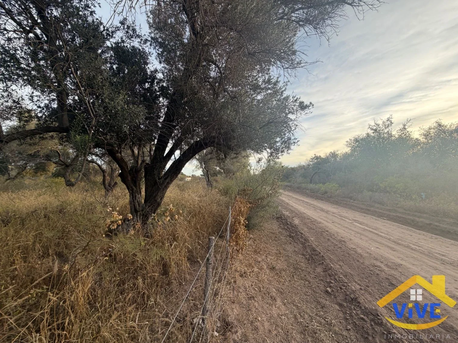 Terrenos / Lotes en venta 6800m2 cada uno en Cruz del Eje - Imagen 2