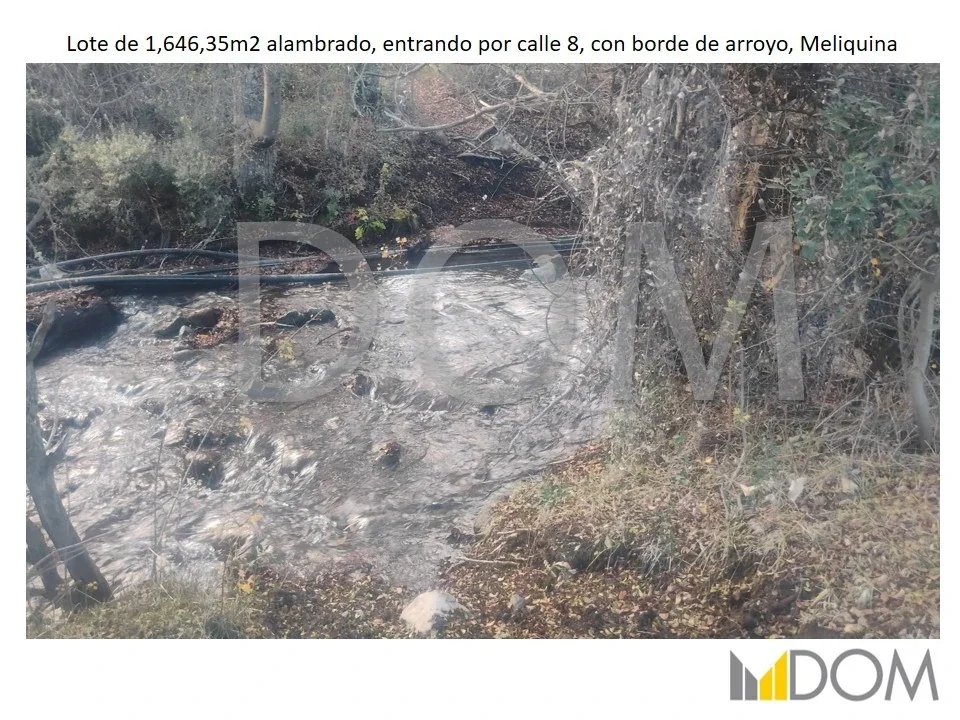 Terreno / Lote en venta de 1646m2 ubicado en Meliquina, con fondo al arroyo - Imagen 5