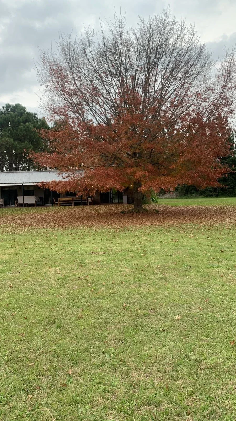 Casa quinta en alquiler de 150220m2 ubicado en Los Hornos - Imagen 3