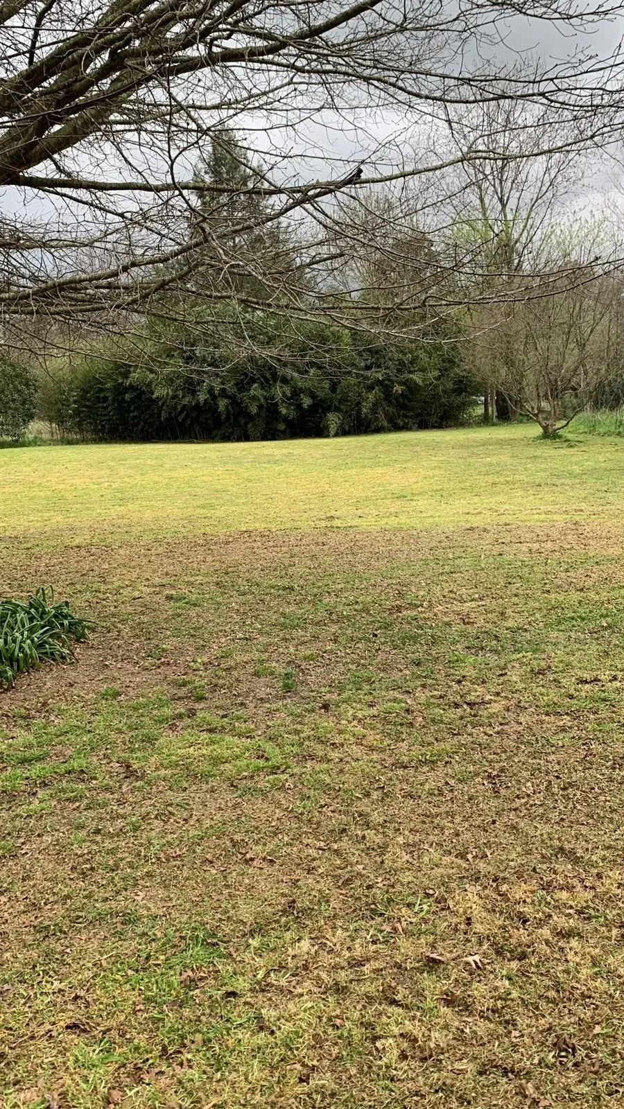 Casa quinta en alquiler de 150220m2 ubicado en Los Hornos - Imagen 4