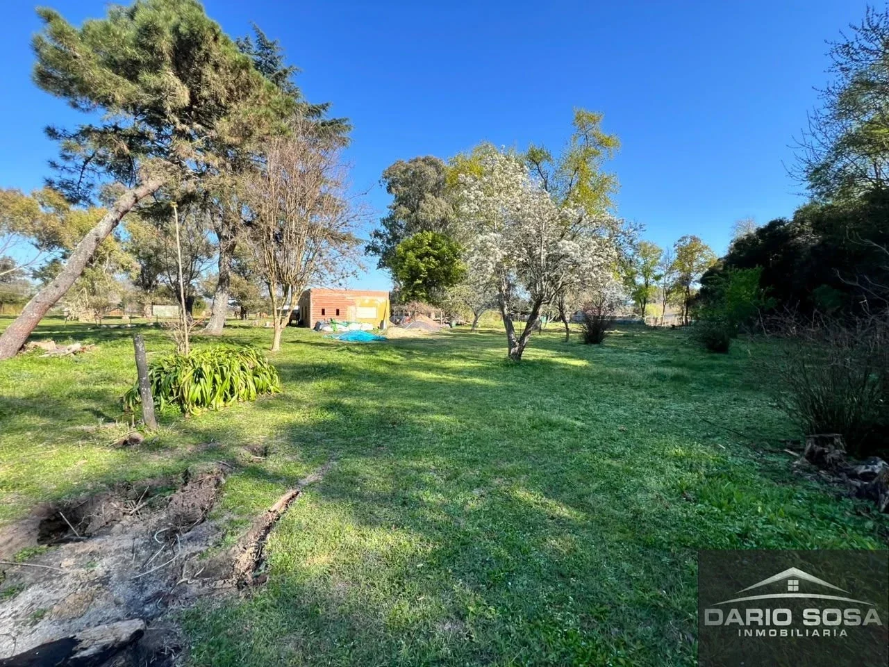 Casa en venta en Zelaya - Imagen 3
