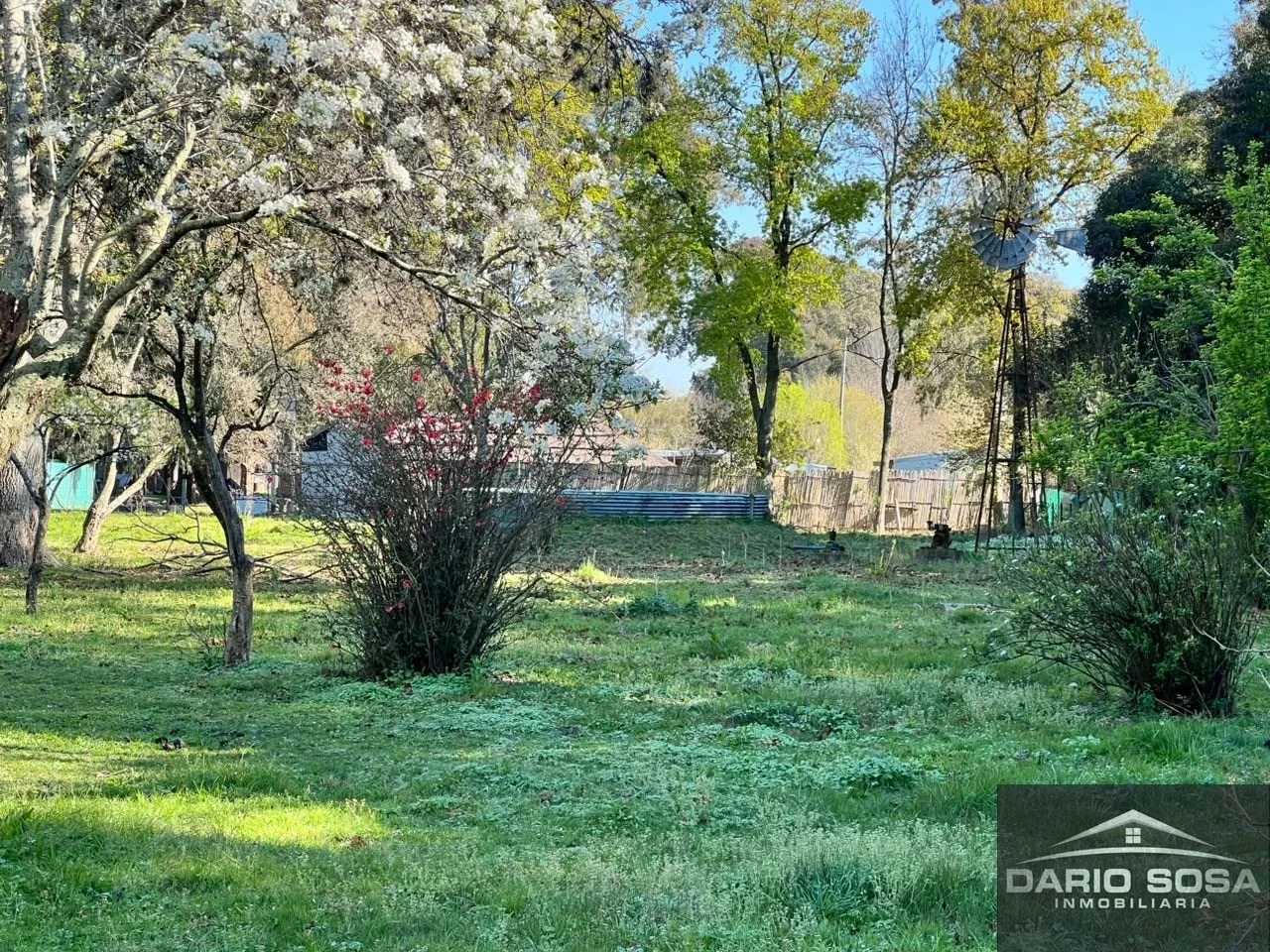 Casa en venta en Zelaya - Imagen 5