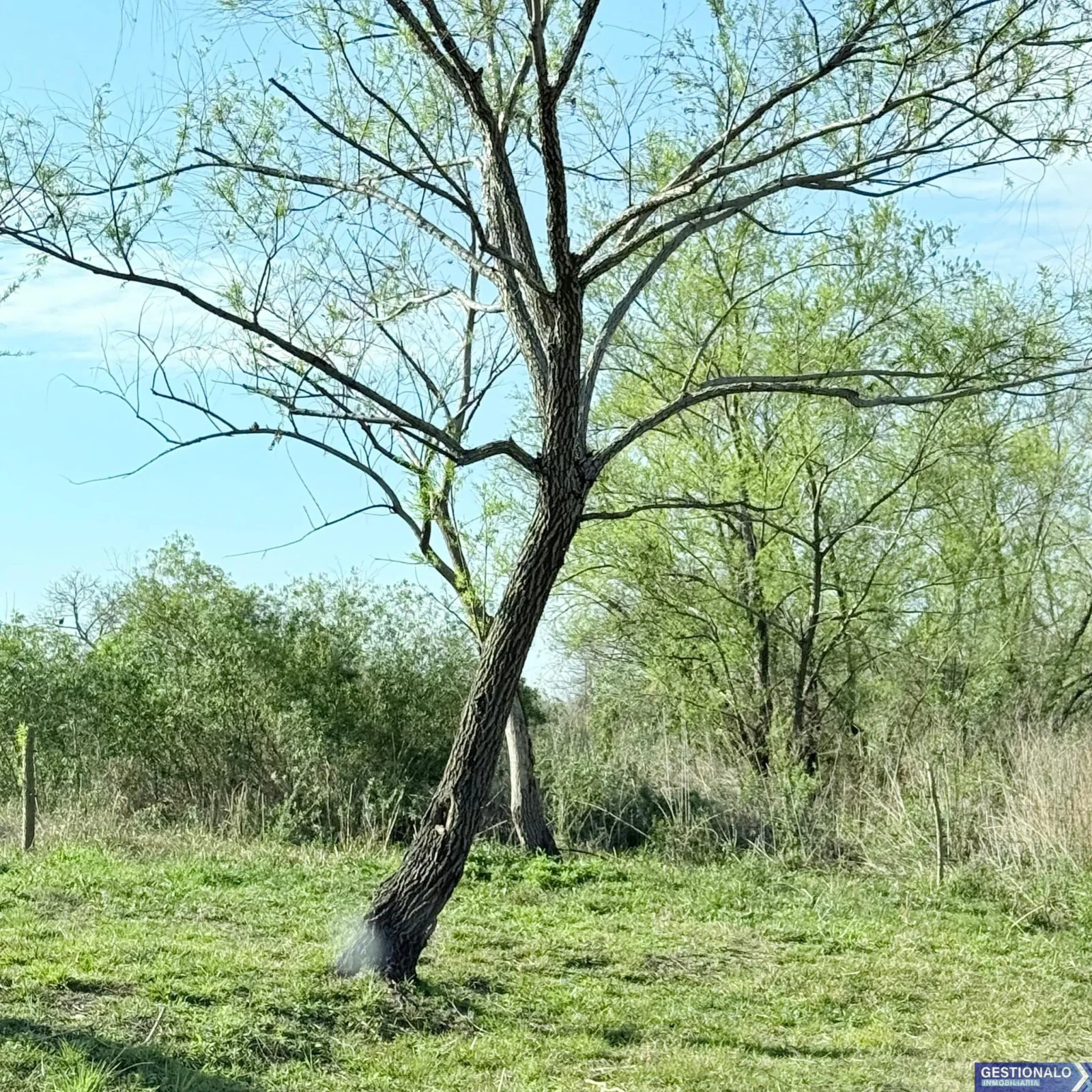 Terrenos a la vera del río Coronda en Sauce Viejo - Imagen 4