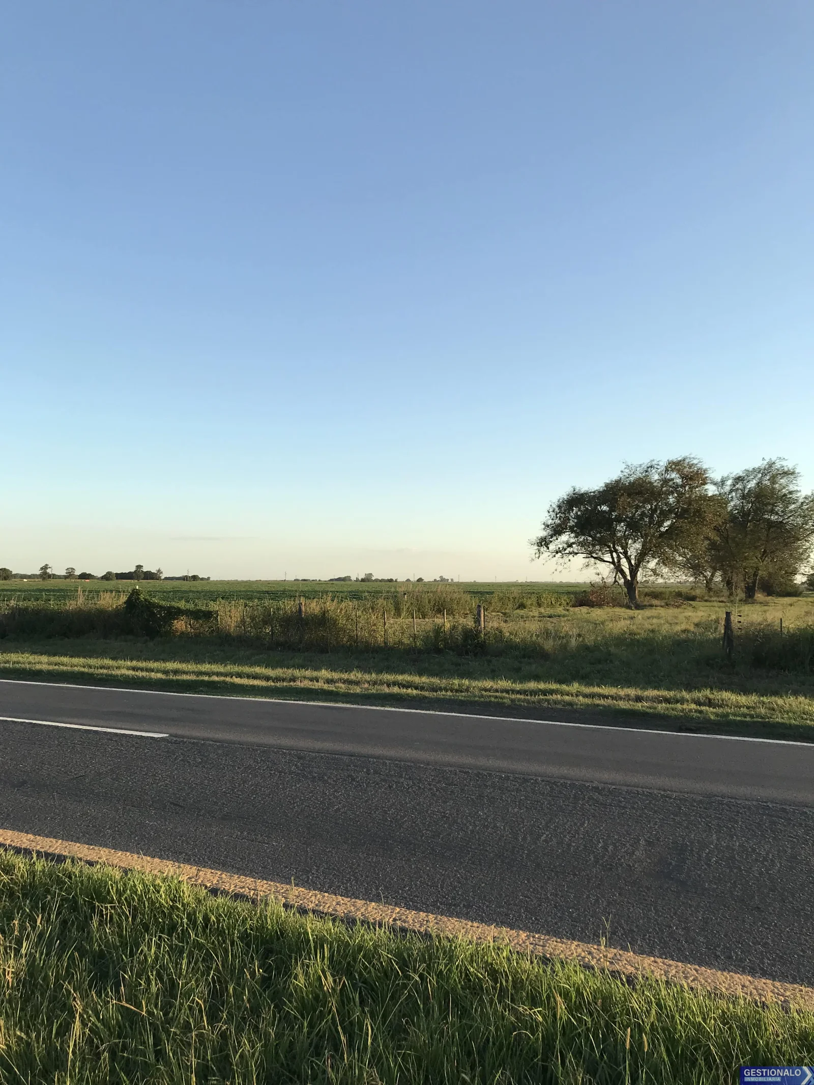 Terreno/Lote en venta de 24.000 m2 ubicado sobre autovía R19 San Carlos Norte - Imagen 2