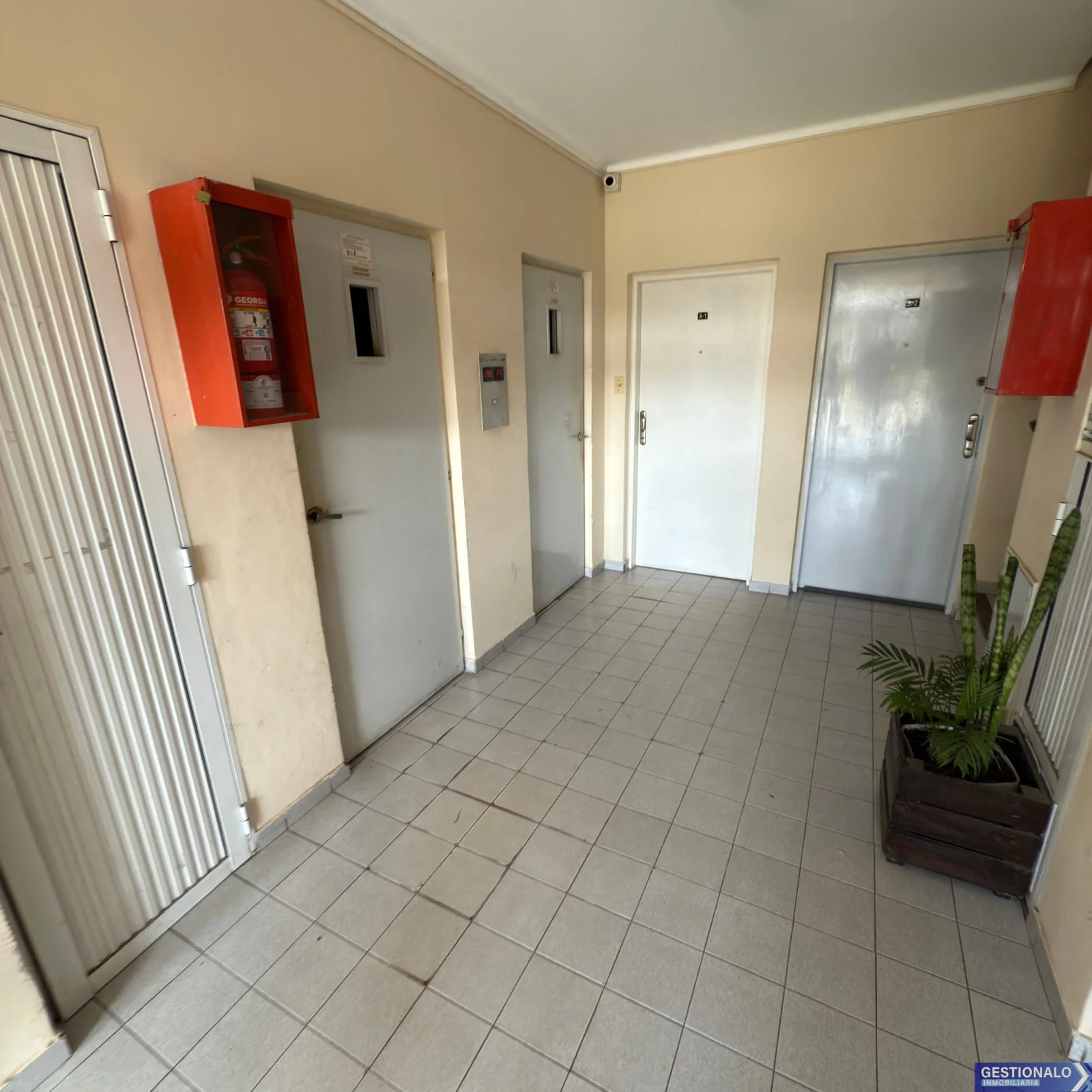 Departamento en alquiler en San Jose - Imagen 2