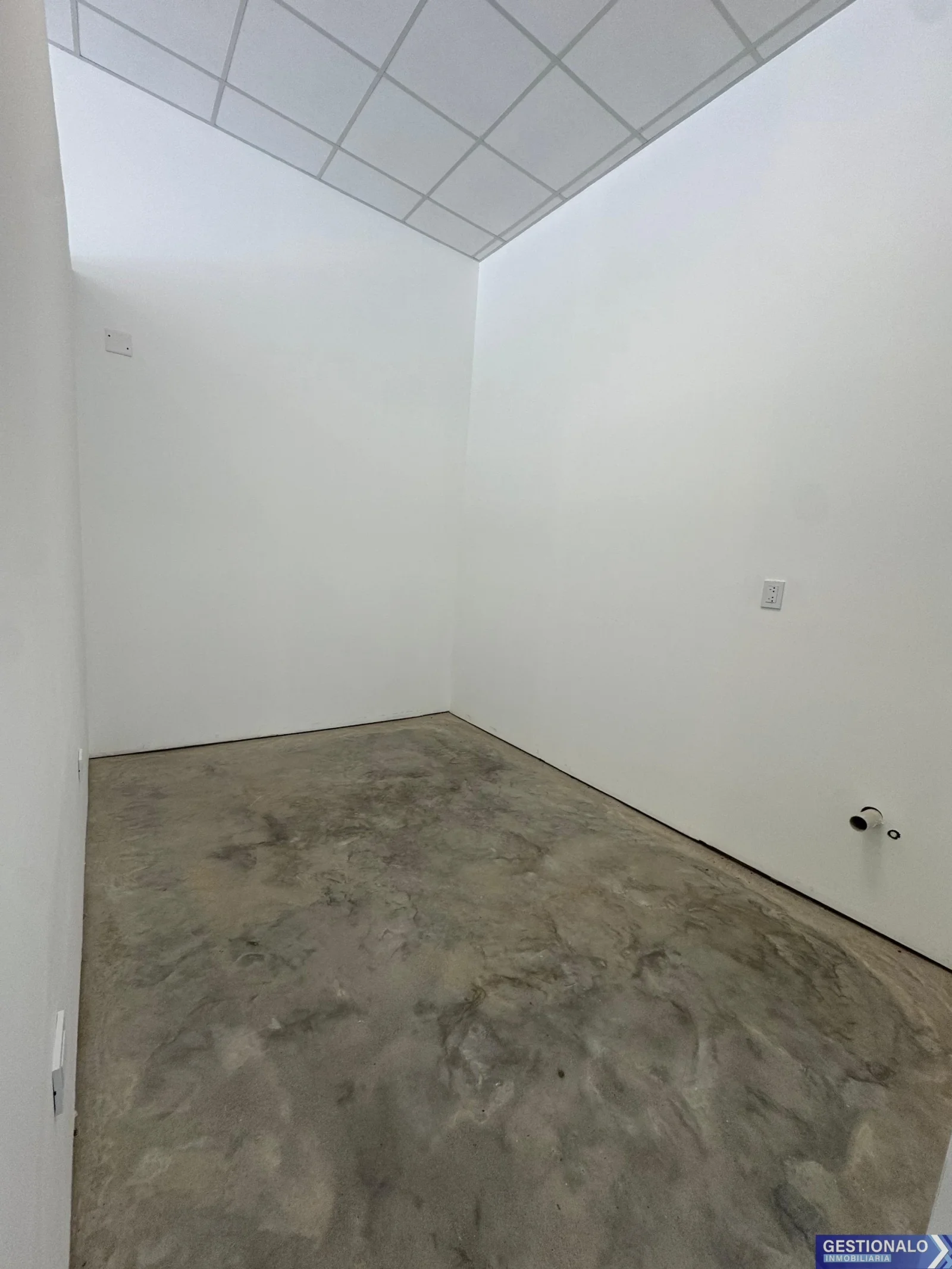 Local comercial en alquiler ubicado en San Carlos Centro - Imagen 3