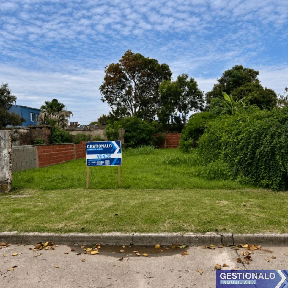 Terreno / Lote en venta de 250m2 ubicado en Gessler - Imagen 1