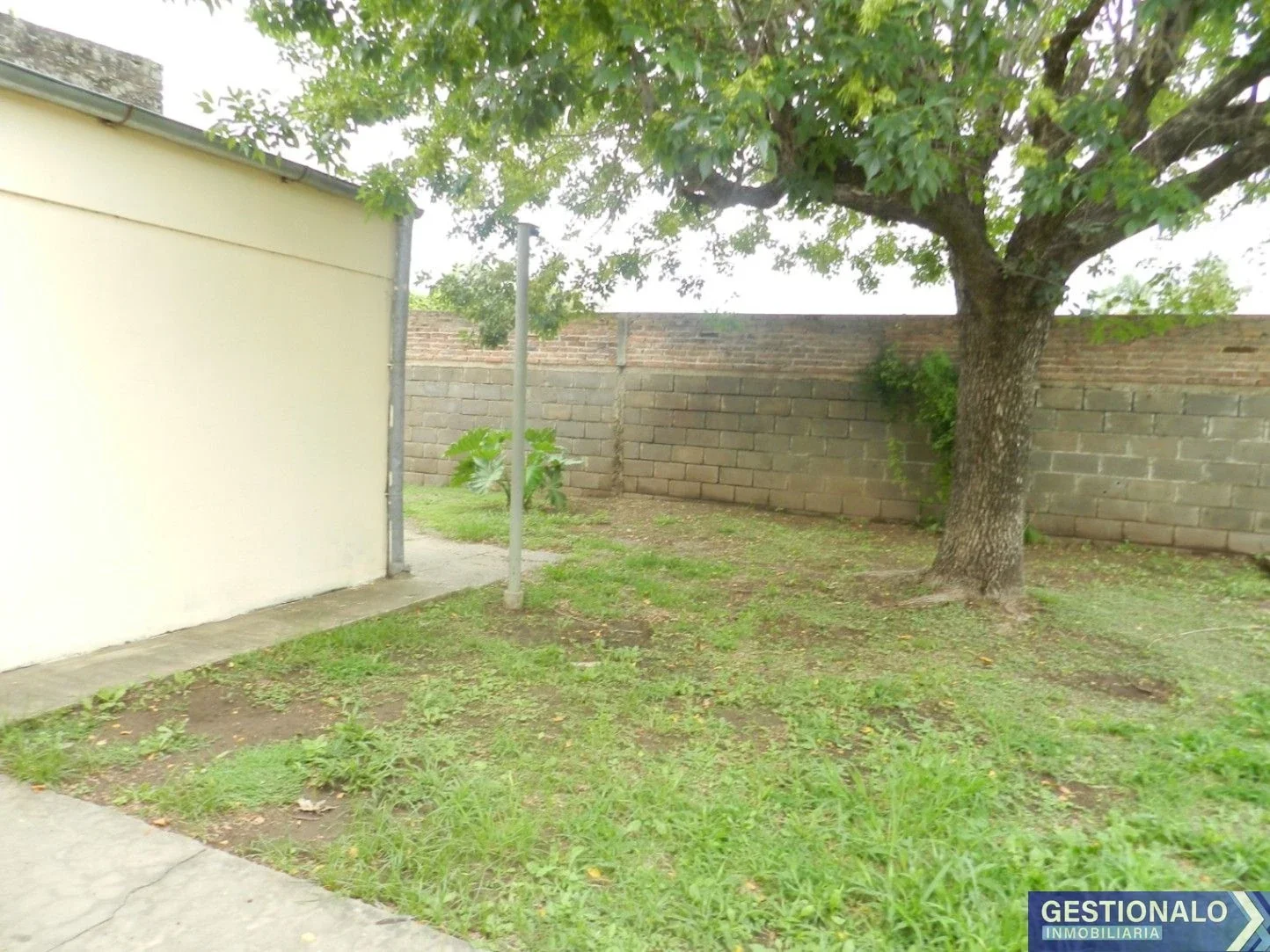 Casa en venta en San Carlos Centro - Imagen 3