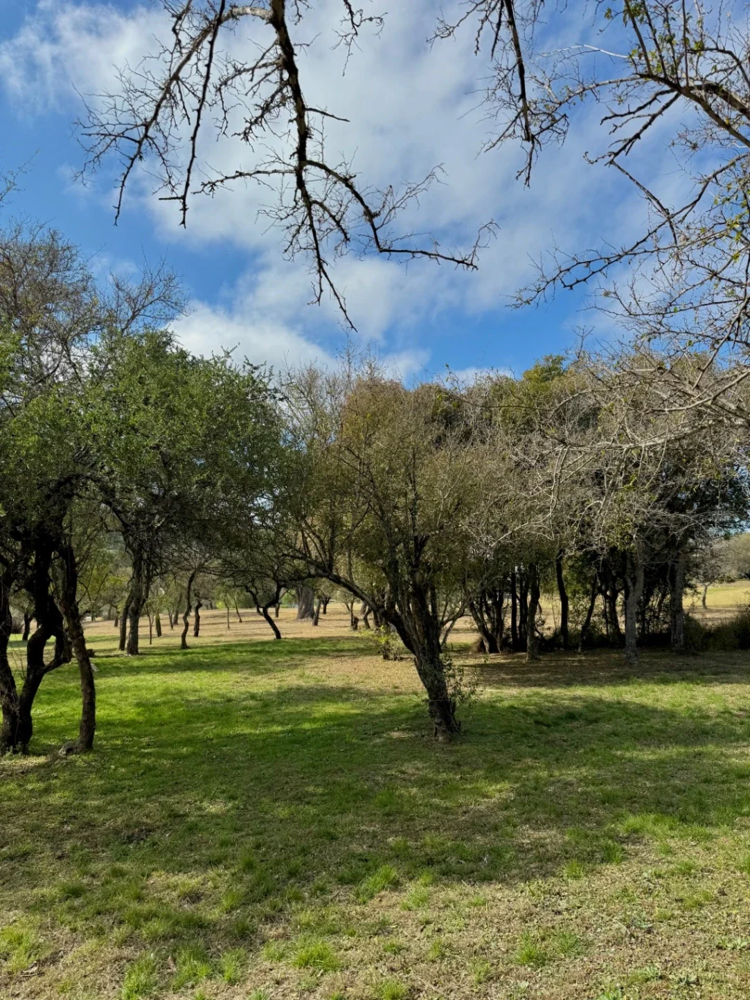 VENTA - Lote Potrerillo de Larreta, Lote 3 - P. 412 - Imagen 5