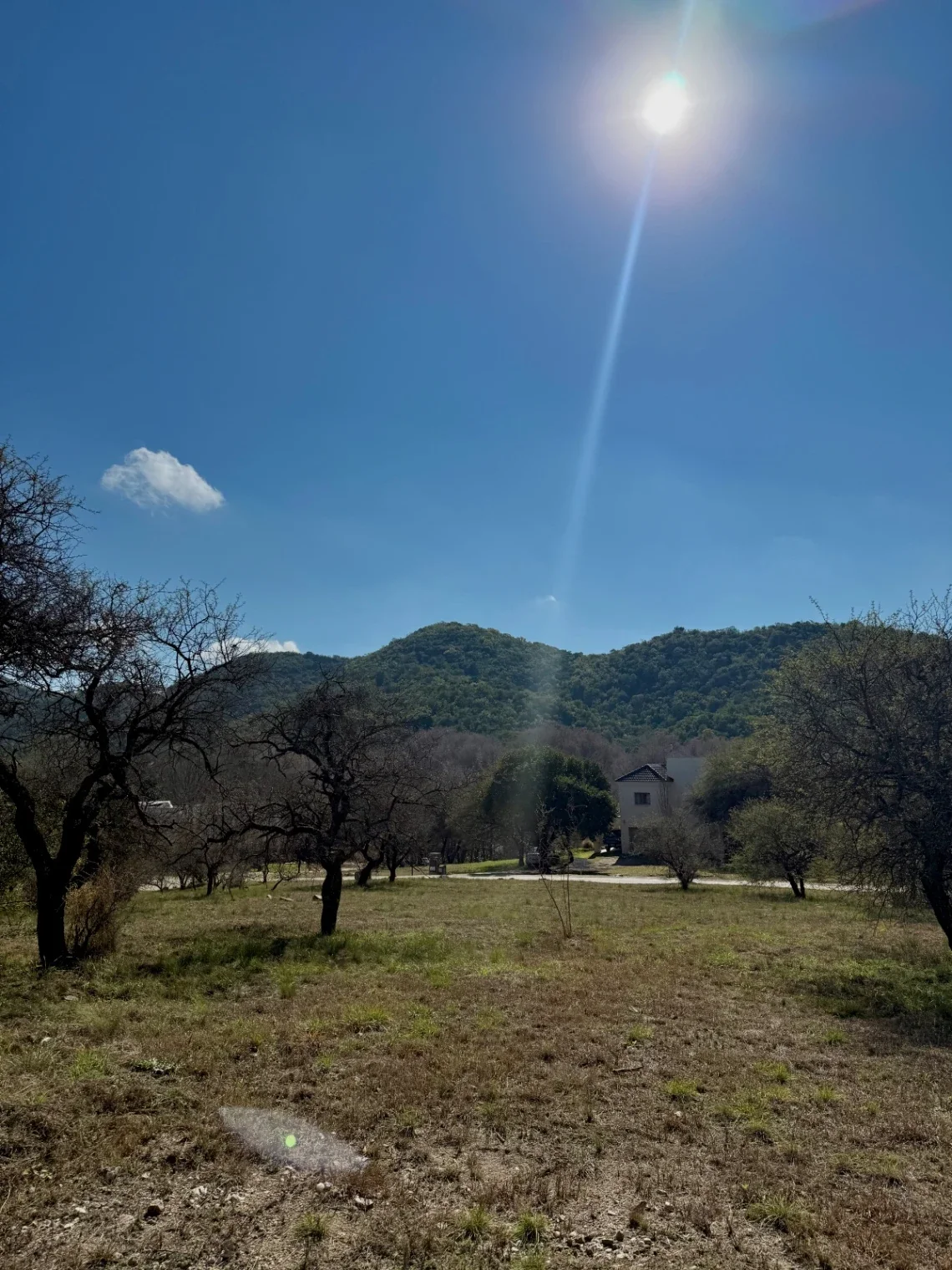 VENTA - Lote Potrerillo de Larreta, Lote 2 - P. 428 - Imagen 3