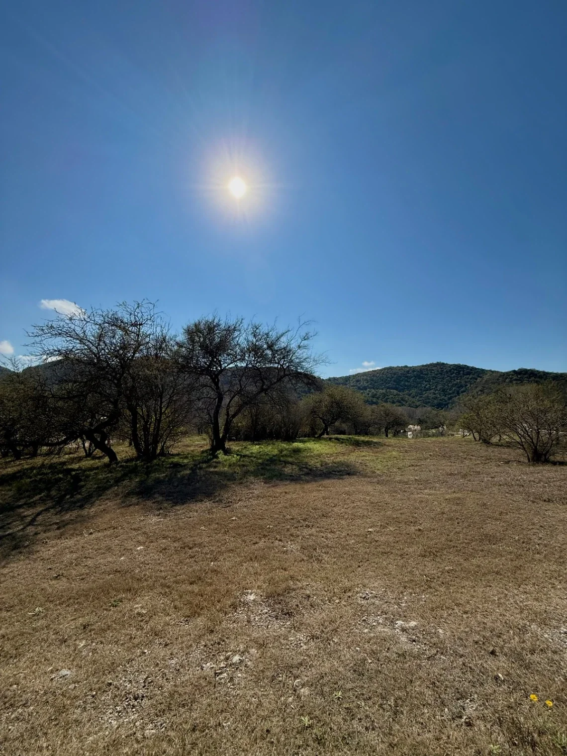 VENTA - Lote Potrerillo de Larreta, Lote 2 - P. 428 - Imagen 2
