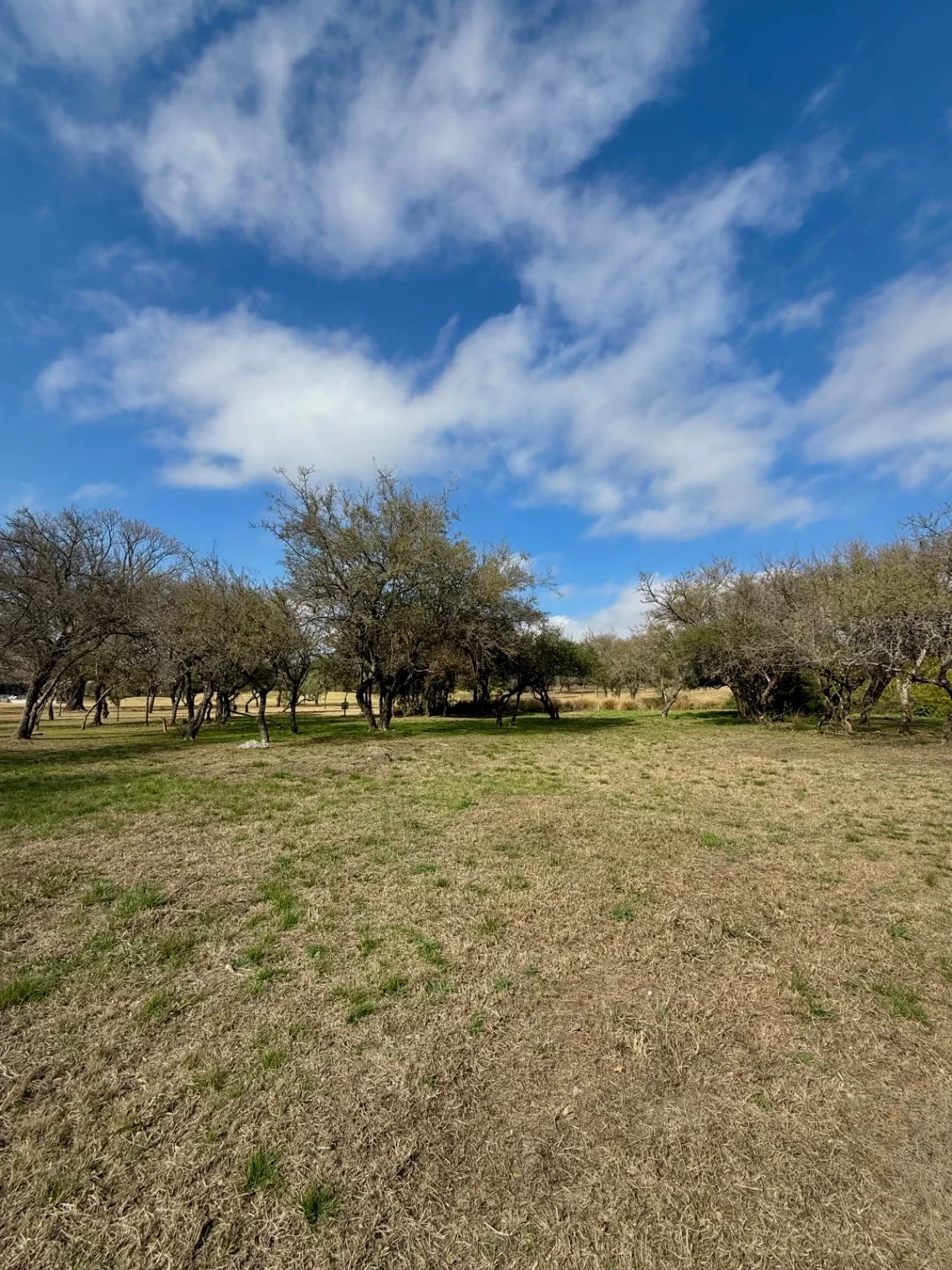 VENTA - Lote Potrerillo de Larreta, Lote 3 - P. 412 - Imagen 1