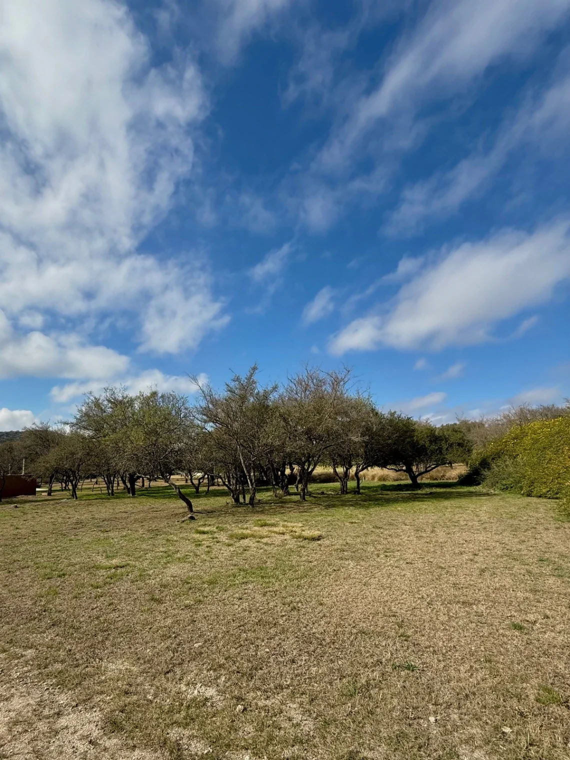 VENTA - Lote Potrerillo de Larreta, Lote 3 - P. 412 - Imagen 4