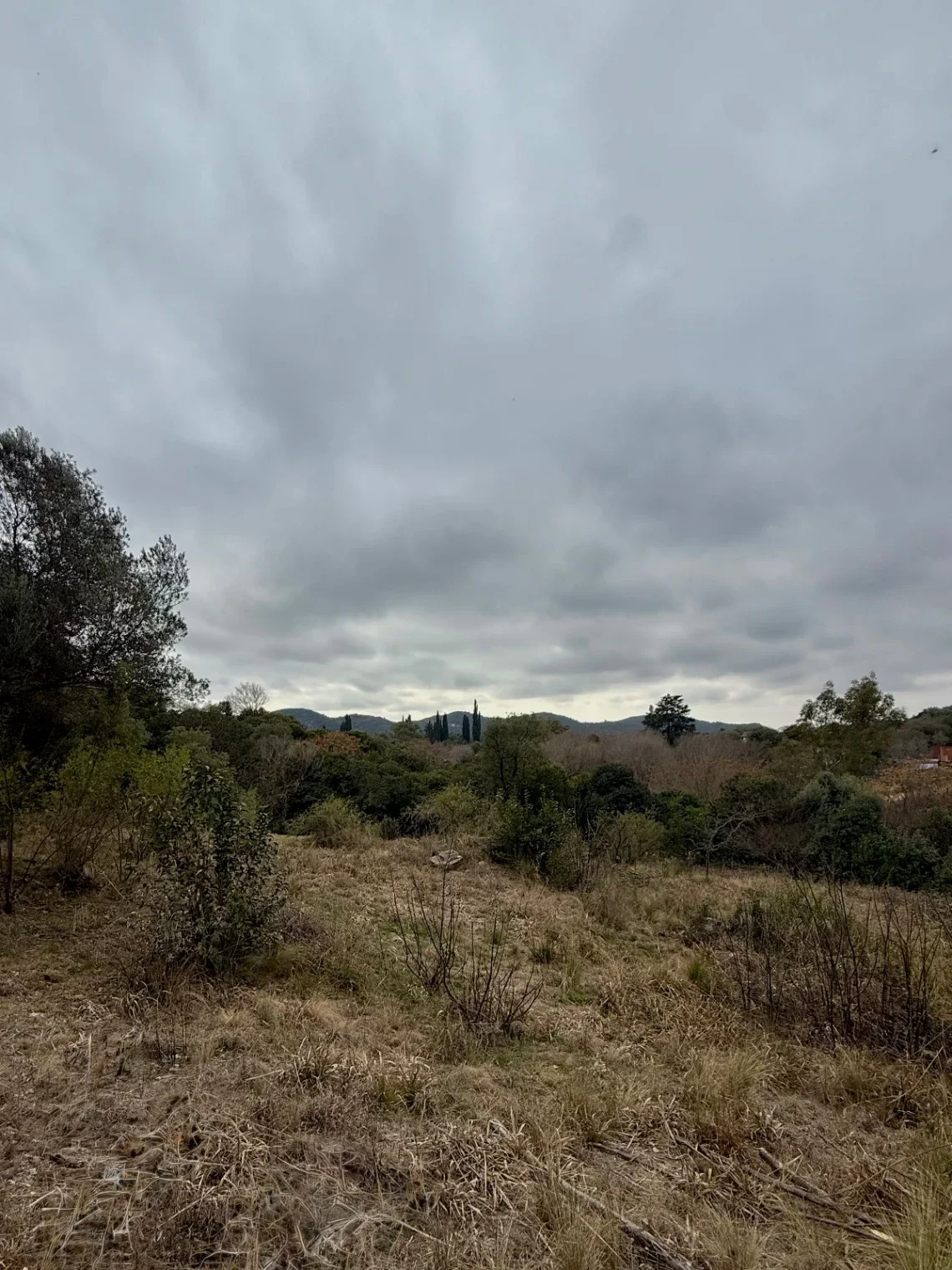 VENTA - Lote Potrerillo de Larreta, Lote 6 - P. 420 - Imagen 2