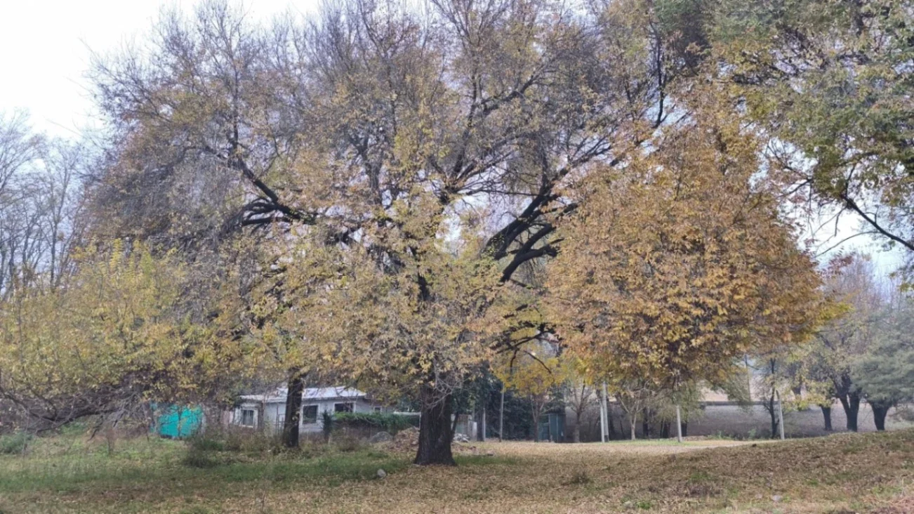 LOTE EN VENTA – Hipolito Bouchard 66, Alta Gracia - Imagen 3
