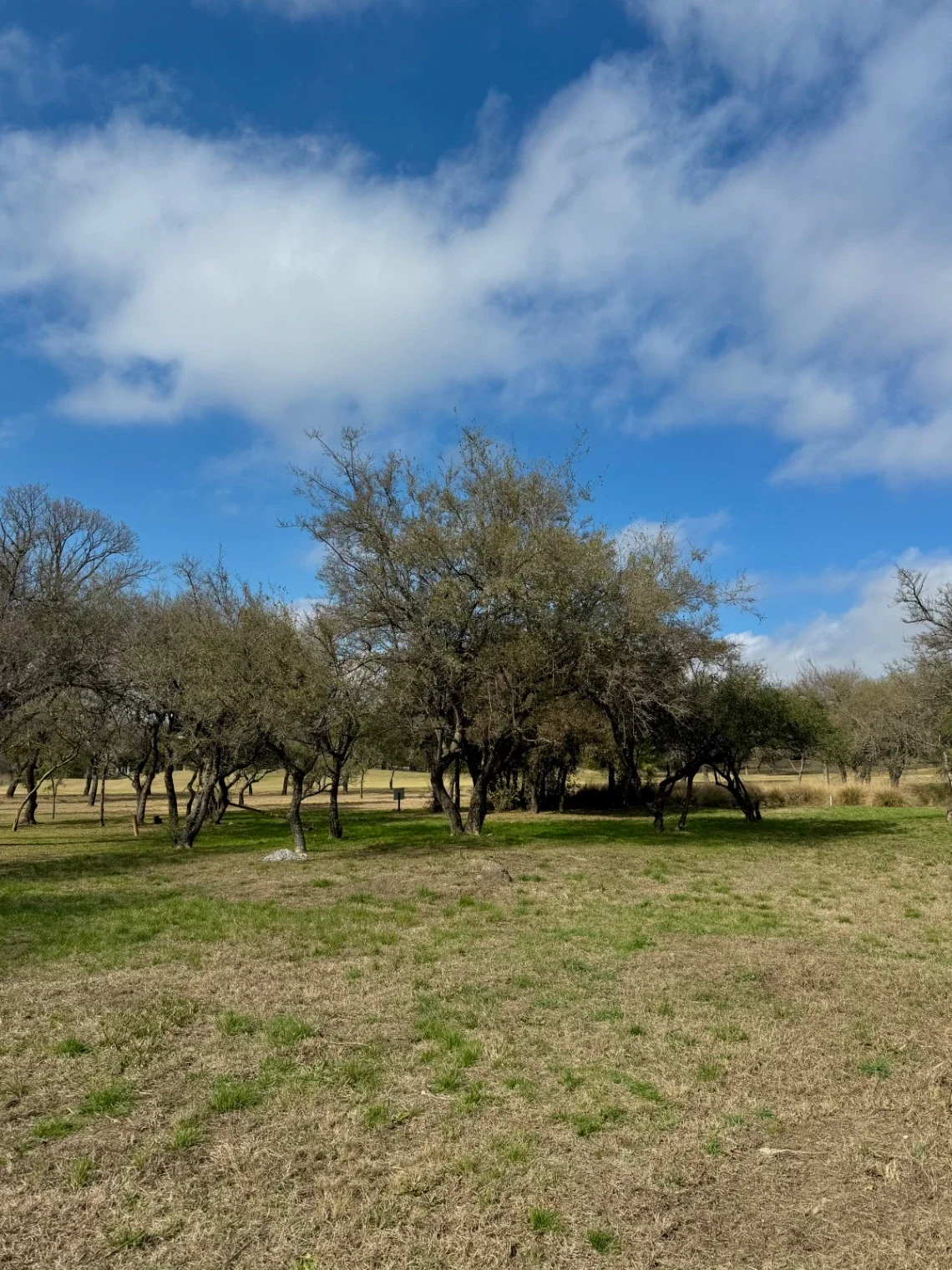 VENTA - Lote Potrerillo de Larreta, Lote 3 - P. 412 - Imagen 2