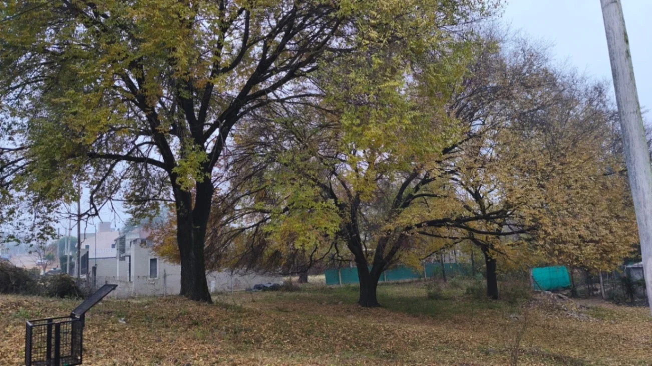 LOTE EN VENTA – Hipolito Bouchard 66, Alta Gracia - Imagen 2