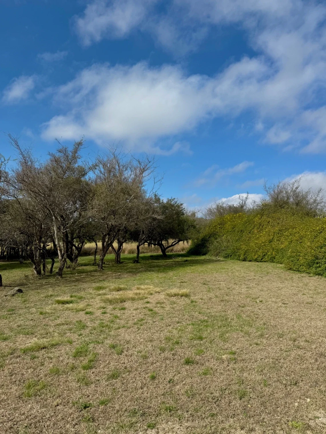 VENTA - Lote Potrerillo de Larreta, Lote 3 - P. 412 - Imagen 3