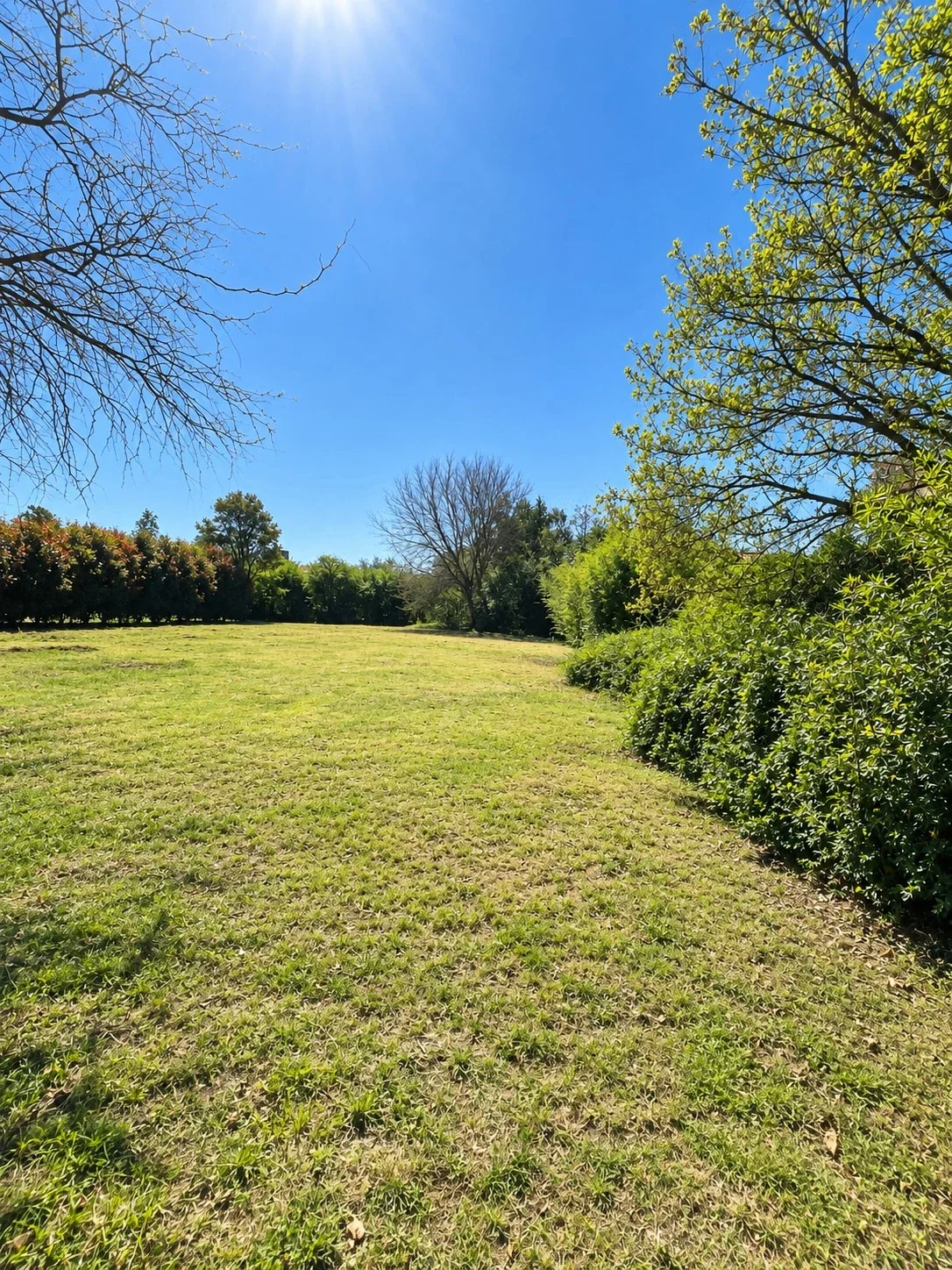 VENTA – Lote Las Rosas 1100 Barrio El Golf - Imagen 2