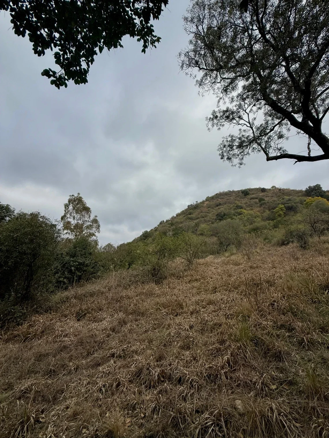 VENTA - Lote Potrerillo de Larreta, Lote 6 - P. 420 - Imagen 4