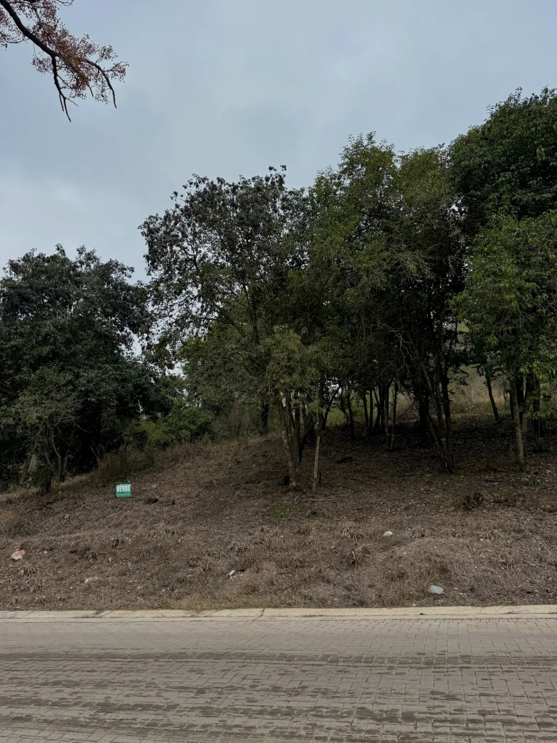 VENTA - Lote Potrerillo de Larreta, Lote 6 - P. 420 - Imagen 3