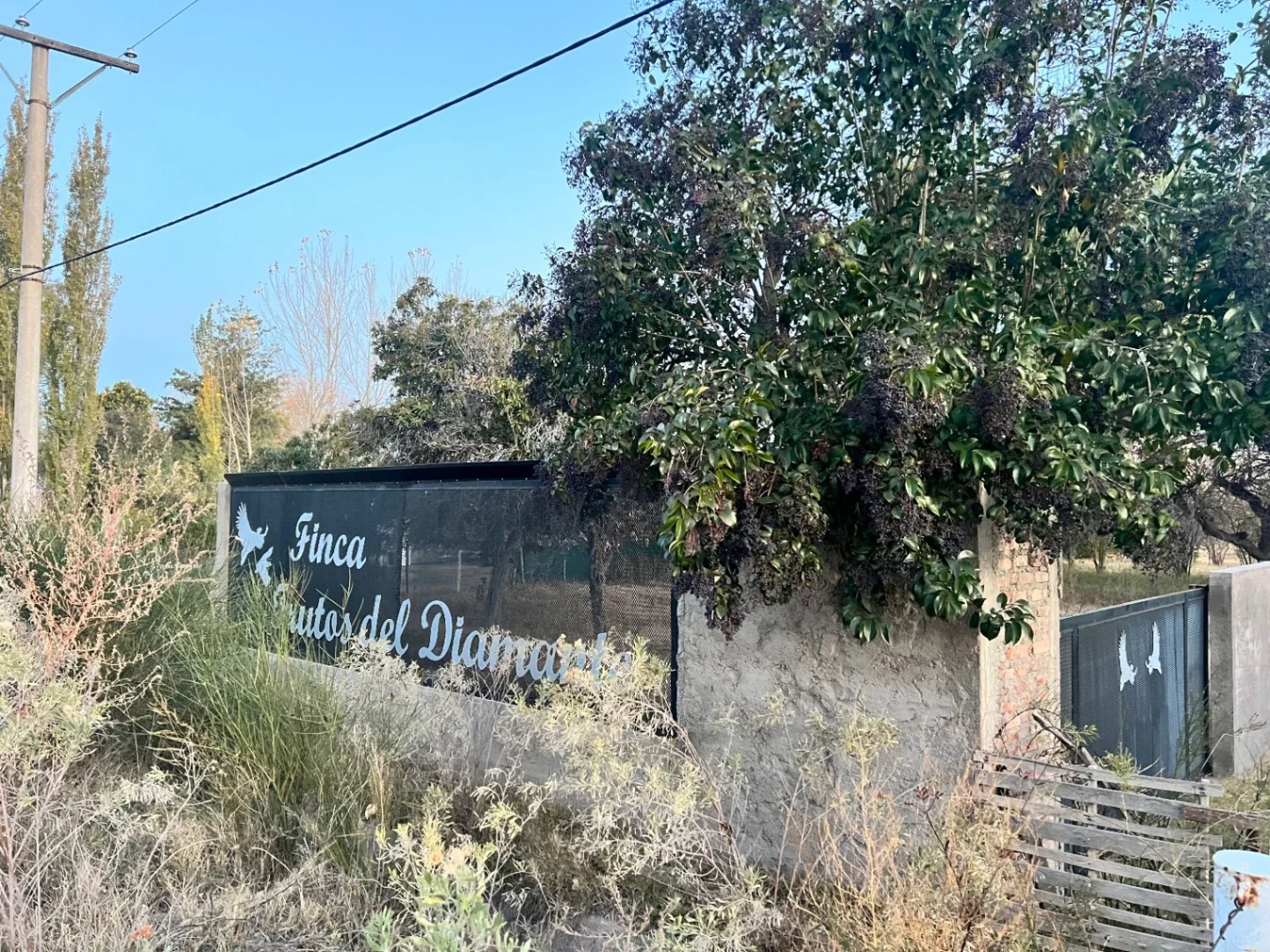 Terreno / Lote en venta de 9218m2 ubicado calle Los Filtros de San Rafael - Imagen 2
