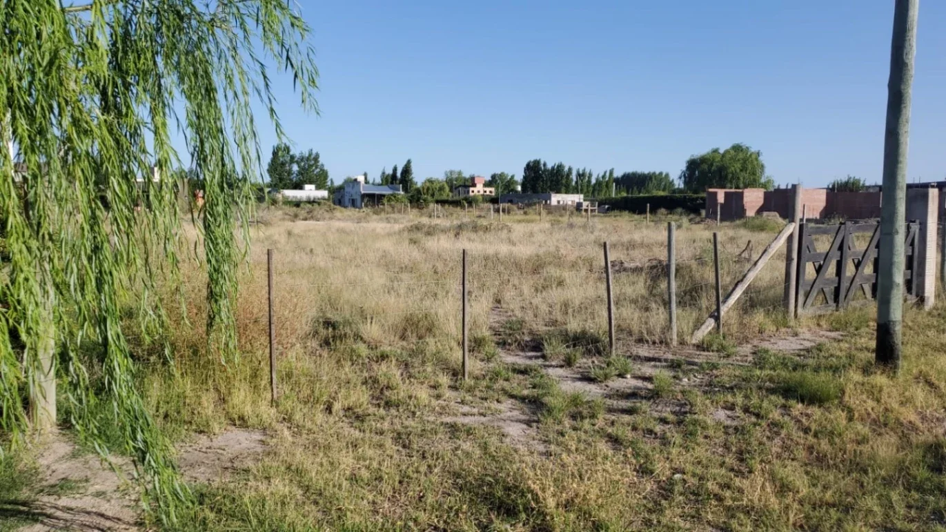 Terreno / Lote en venta de 1999m2 ubicado en Las Paredes- San Rafael - Imagen 4