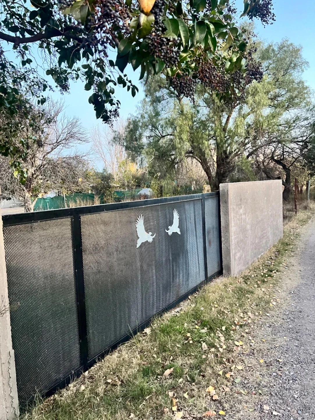 Terreno / Lote en venta de 9218m2 ubicado calle Los Filtros de San Rafael - Imagen 3