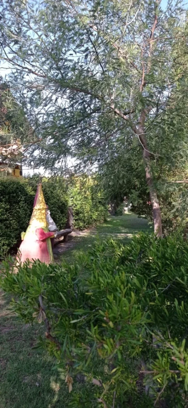 Casa con quincho y piscina en venta en Villa 25 de Mayo - Imagen 3
