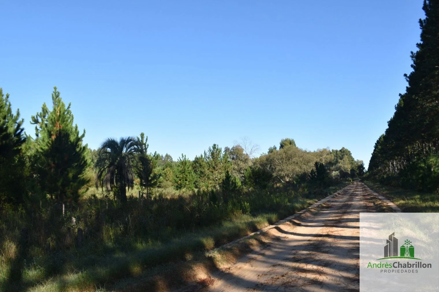 Campo en venta de 8.5ha ubicado en Puerto Yeruá - Imagen 2