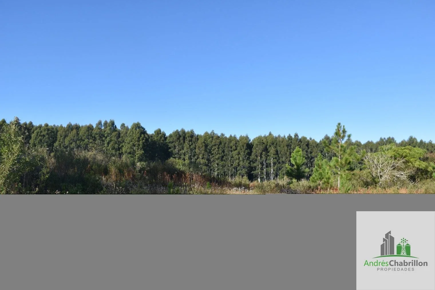 Campo en venta de 8.5ha ubicado en Puerto Yeruá - Imagen 5