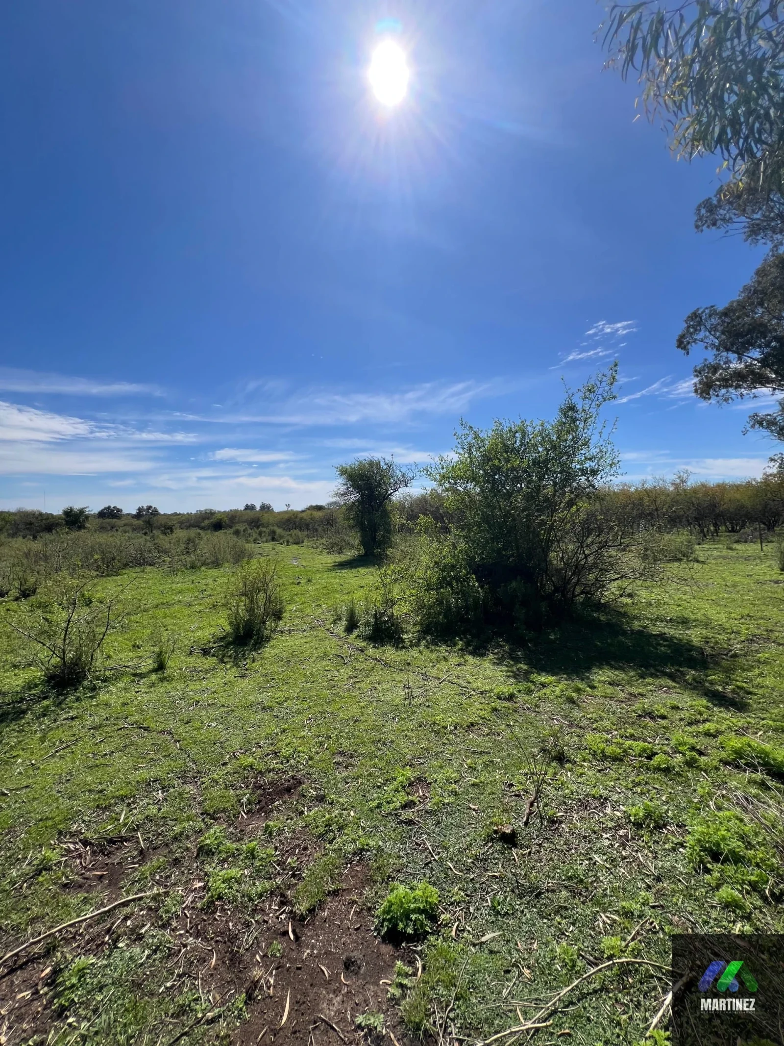 Chacra en venta de 30000m2 ubicado en Gualeguaychú - Imagen 4