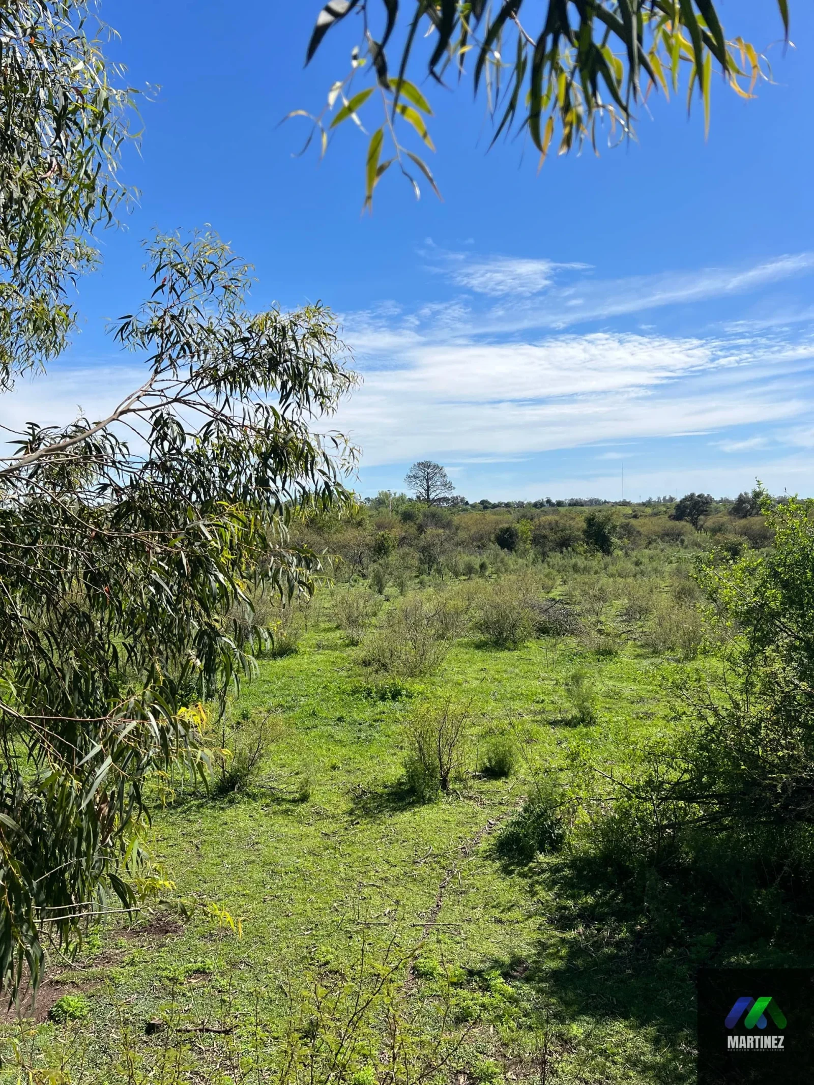 Chacra en venta de 30000m2 ubicado en Gualeguaychú - Imagen 3