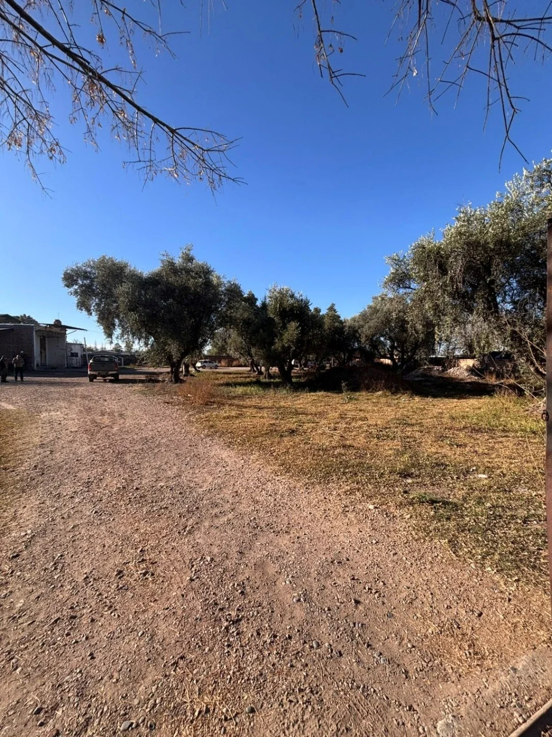 Terreno / Lote en venta ideal para empresa de transporte y logistica - Imagen 3