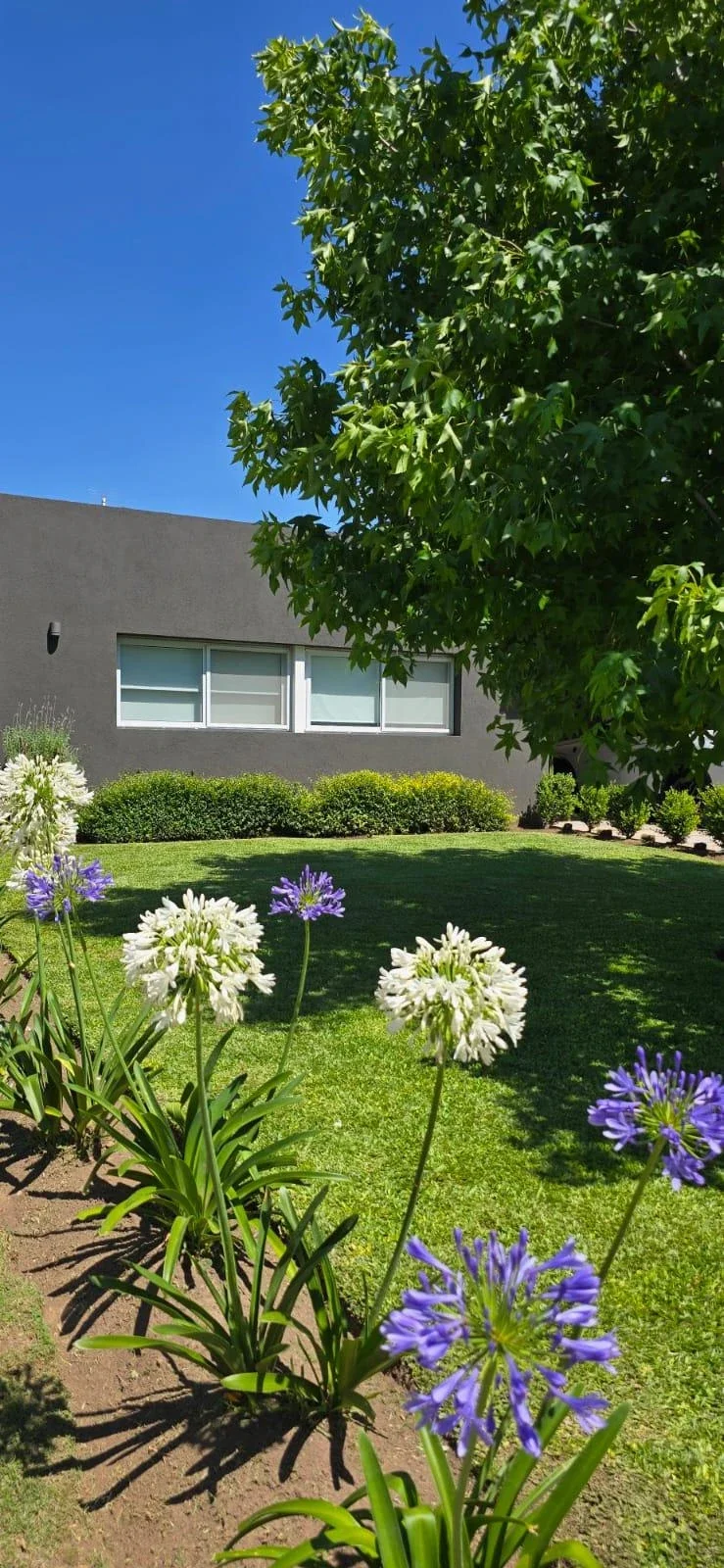Casa en venta c/ cochera en Pilar del Este - Imagen 2