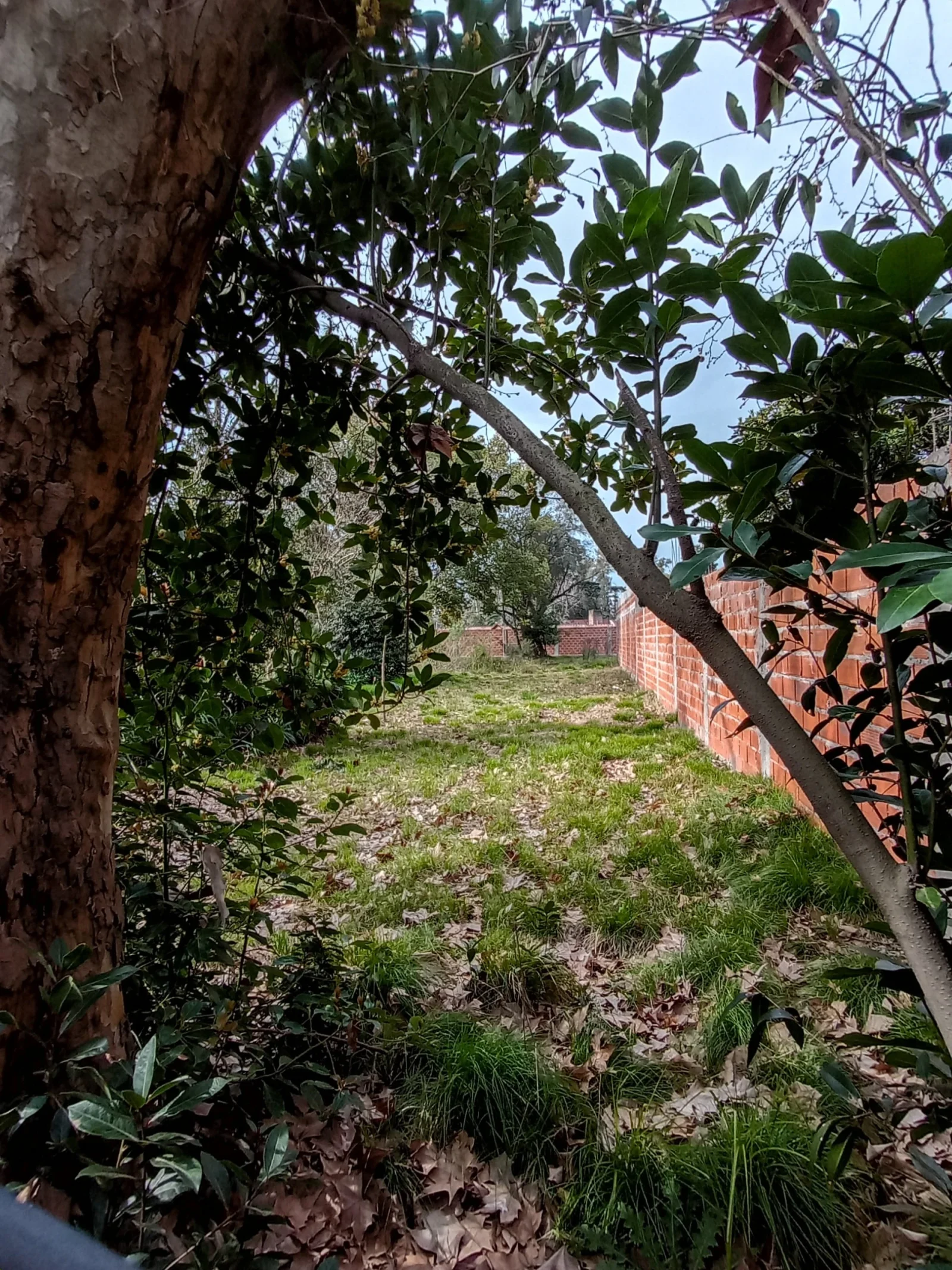 Terreno 700m2 Tortuguitas - Imagen 2