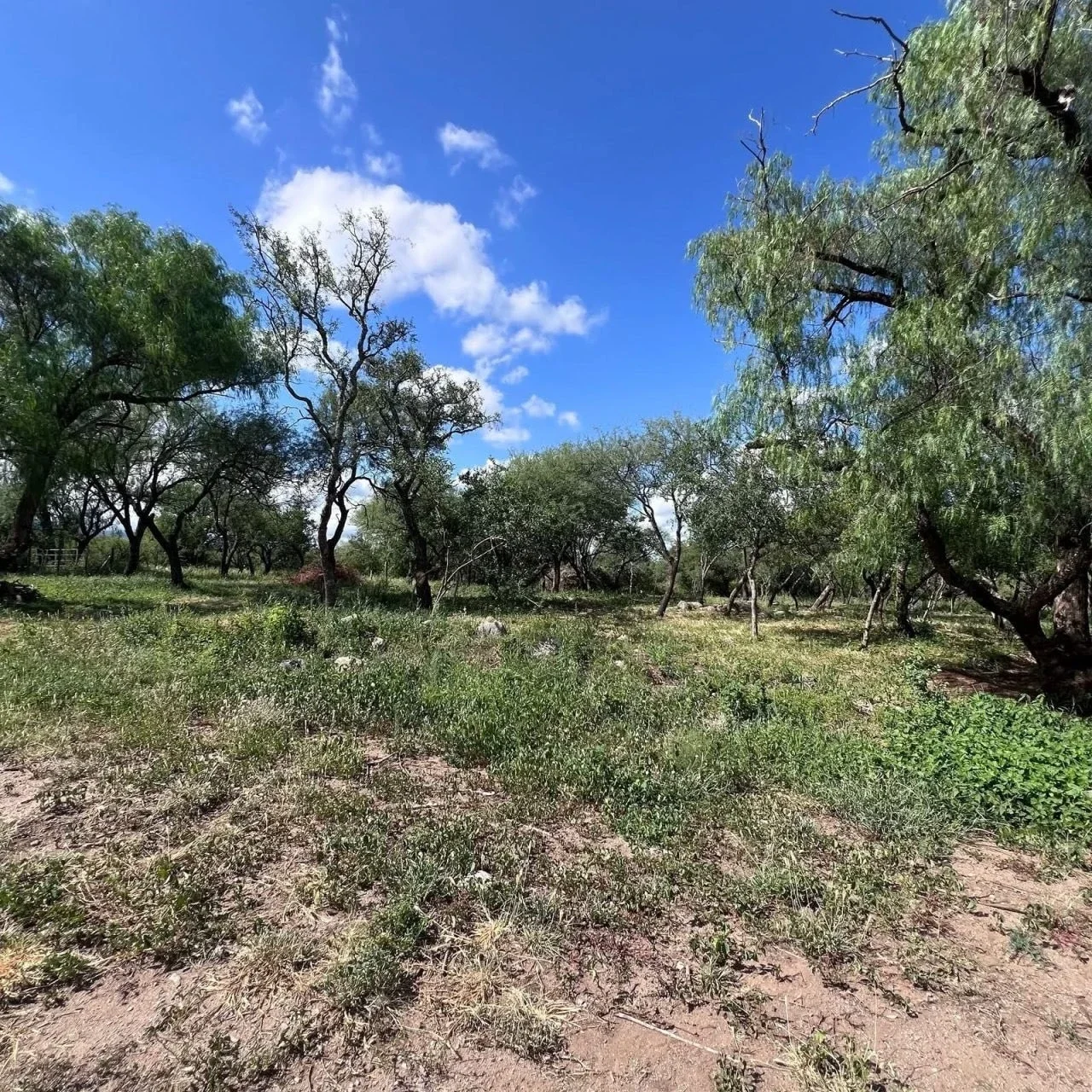 Terreno / Lote en venta de 850m2 ubicado en Cruz Caña - Imagen 2