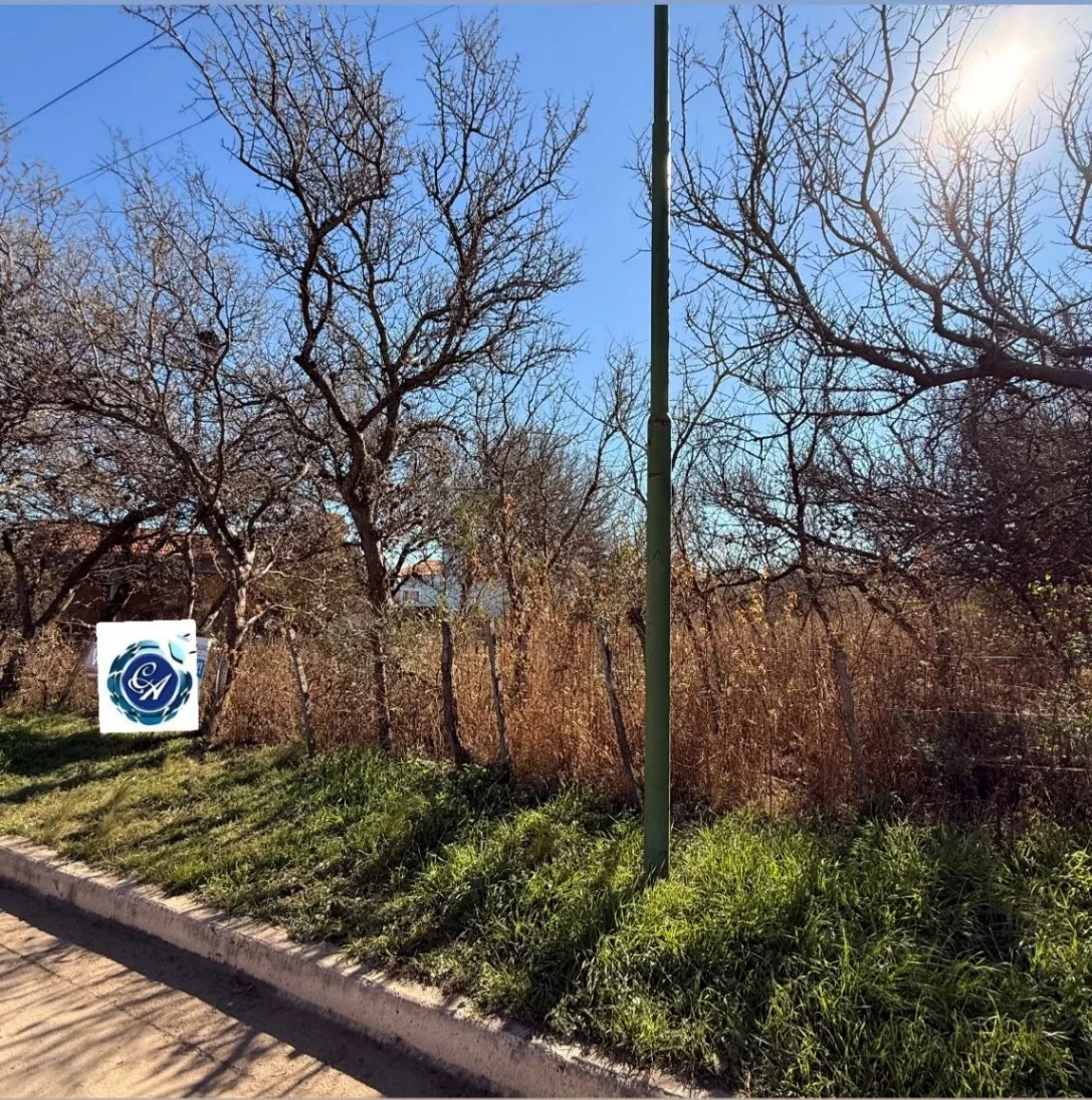 Terreno / Lote en venta de 915m2 ubicado en Carpintería - Imagen 2