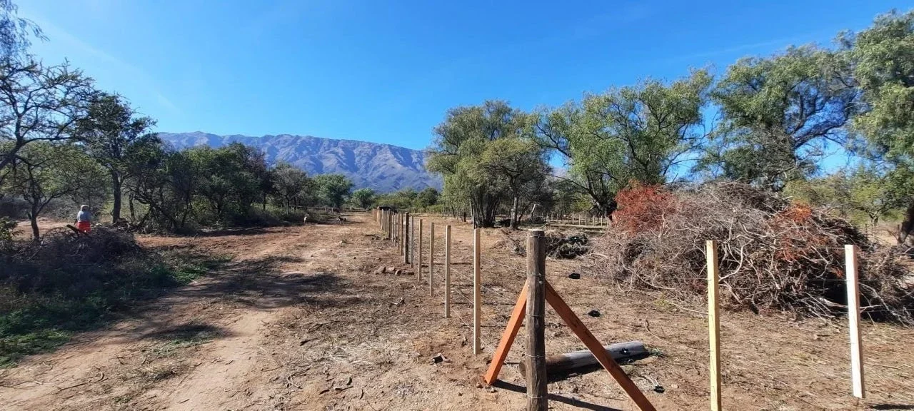 Terreno / Lote en venta de 850m2 ubicado en Cruz Caña - Imagen 1