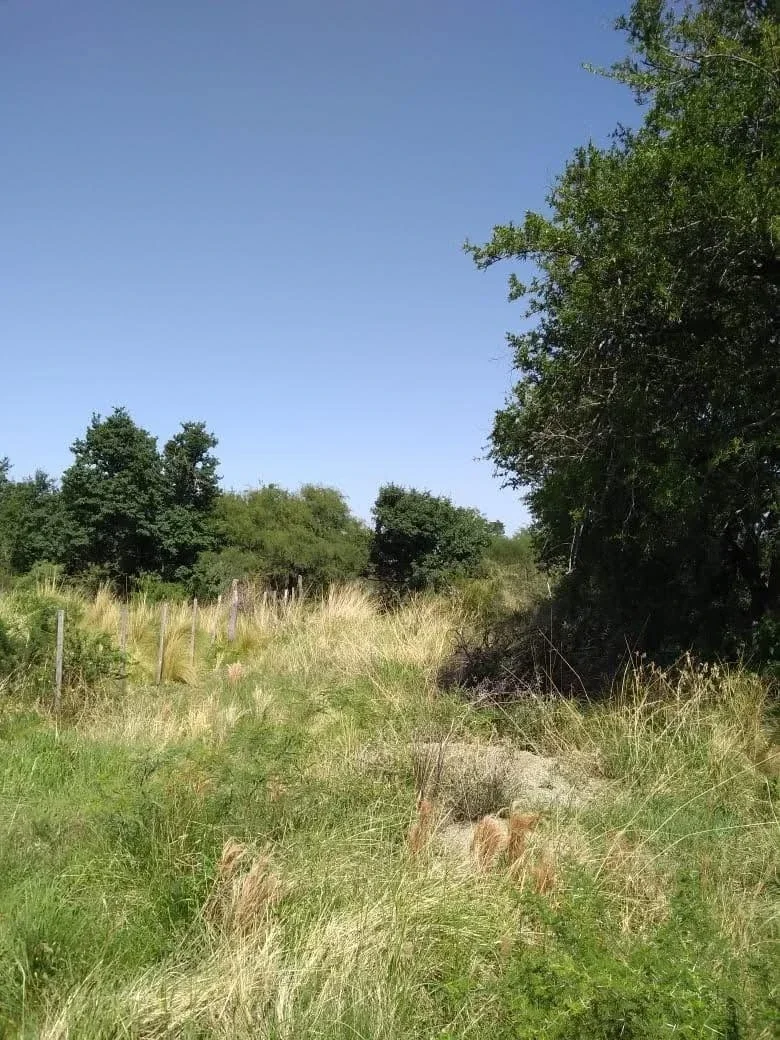 Terreno / Lote en venta de 1400m2 ubicado en Cruz Caña - Imagen 4
