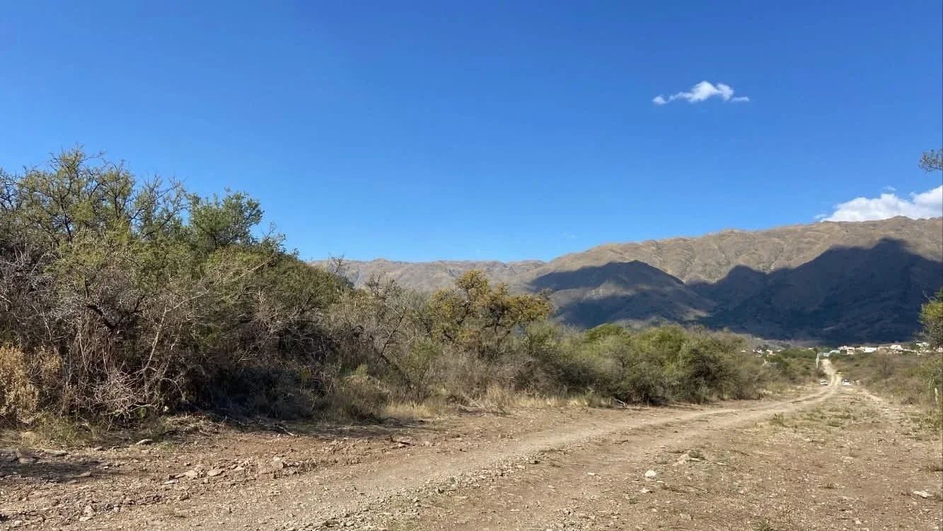 Terreno / Lote en venta de 9000m2 ubicado en Carpintería - Imagen 3