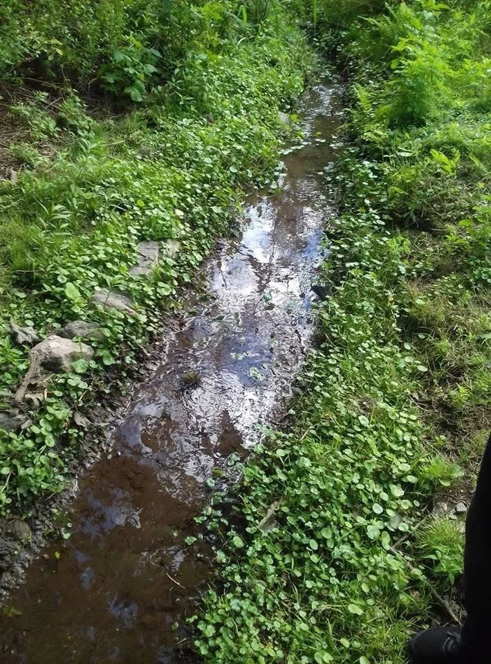 Terreno / Lote en venta de 9000m2 ubicado en Carpintería - Imagen 4