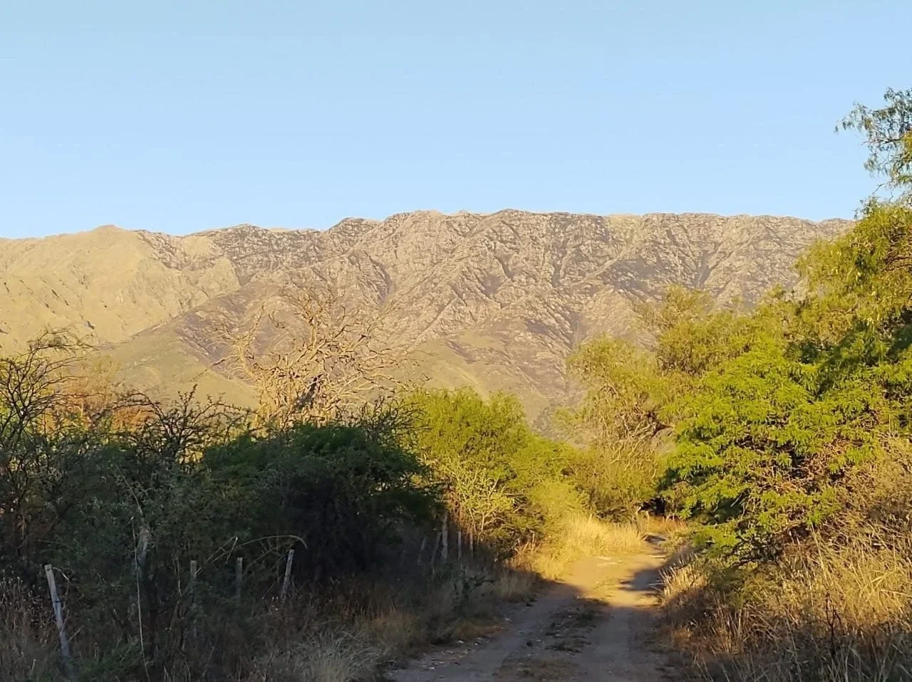 Terreno / Lote en venta de 1400m2 ubicado en Cruz Caña - Imagen 1