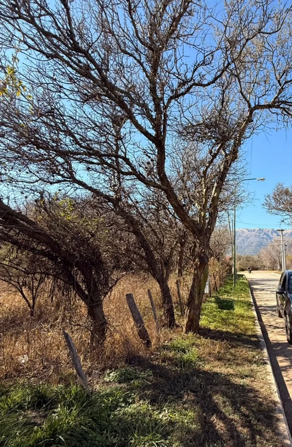 Terreno / Lote en venta de 915m2 ubicado en Carpintería - Imagen 4