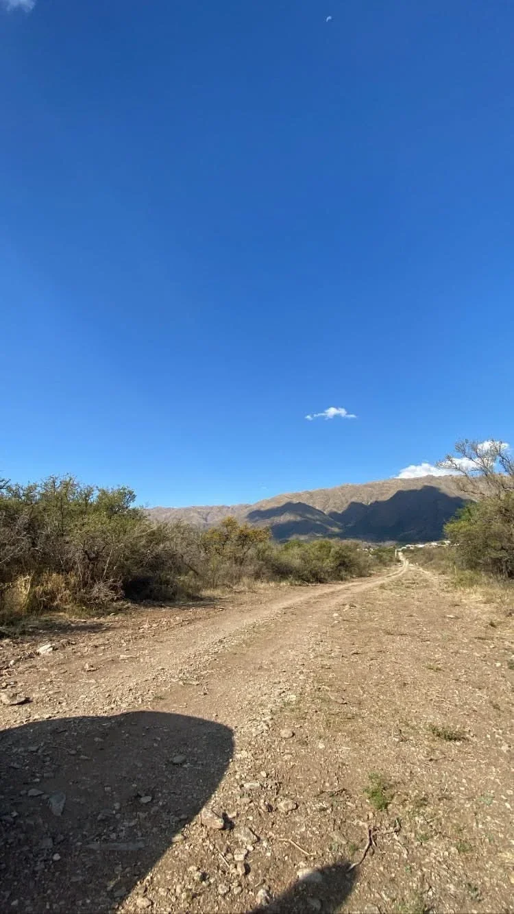 Terreno / Lote en venta de 9000m2 ubicado en Carpintería - Imagen 2