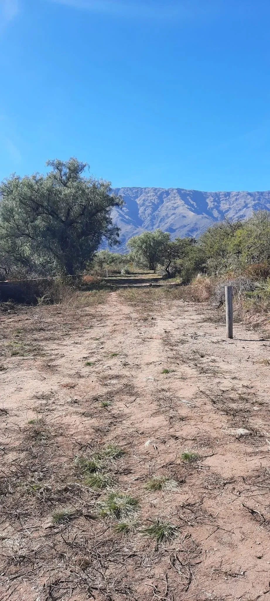 Terreno / Lote en venta de 850m2 ubicado en Cruz Caña - Imagen 2