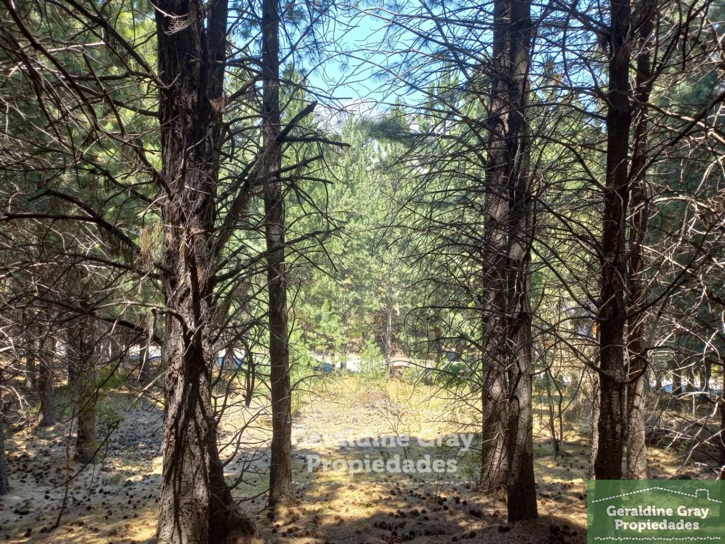 Terreno / Lote en venta de 2520m2 ubicado en Chapelco Golf & Resort - Imagen 5