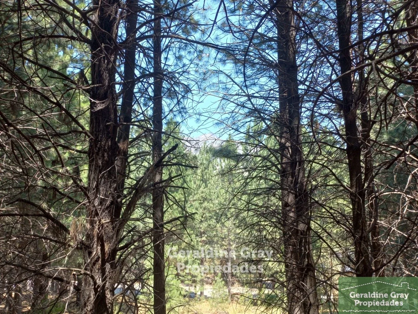 Terreno / Lote en venta de 2520m2 ubicado en Chapelco Golf & Resort - Imagen 2