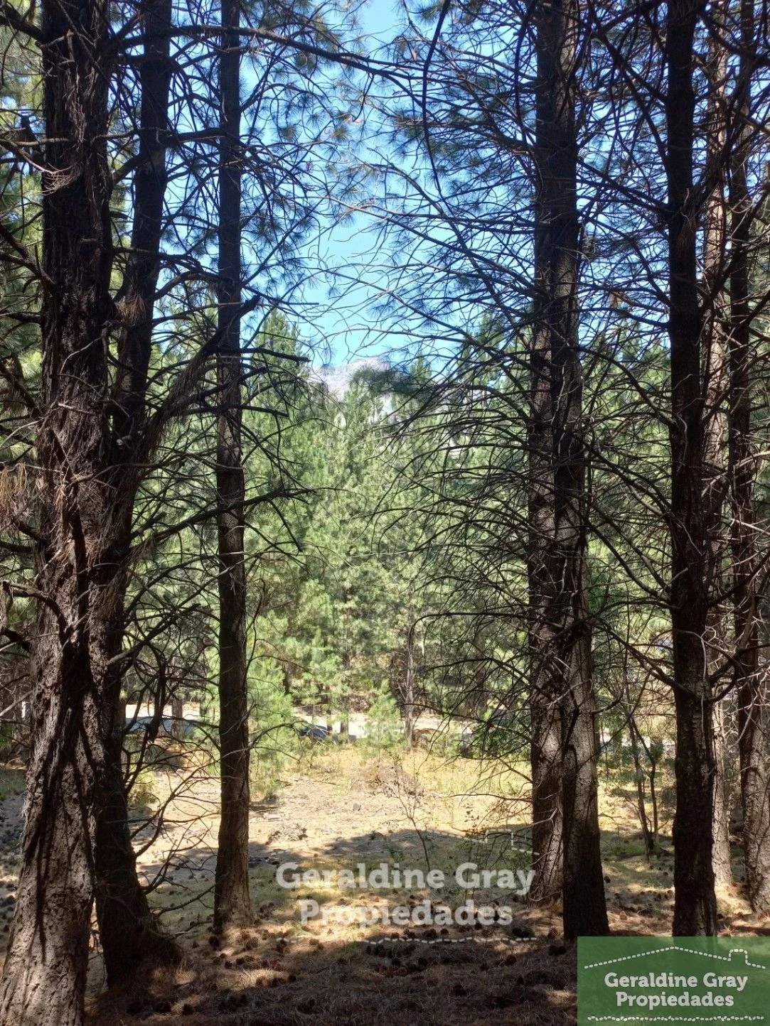 Terreno / Lote en venta de 2520m2 ubicado en Chapelco Golf & Resort - Imagen 4