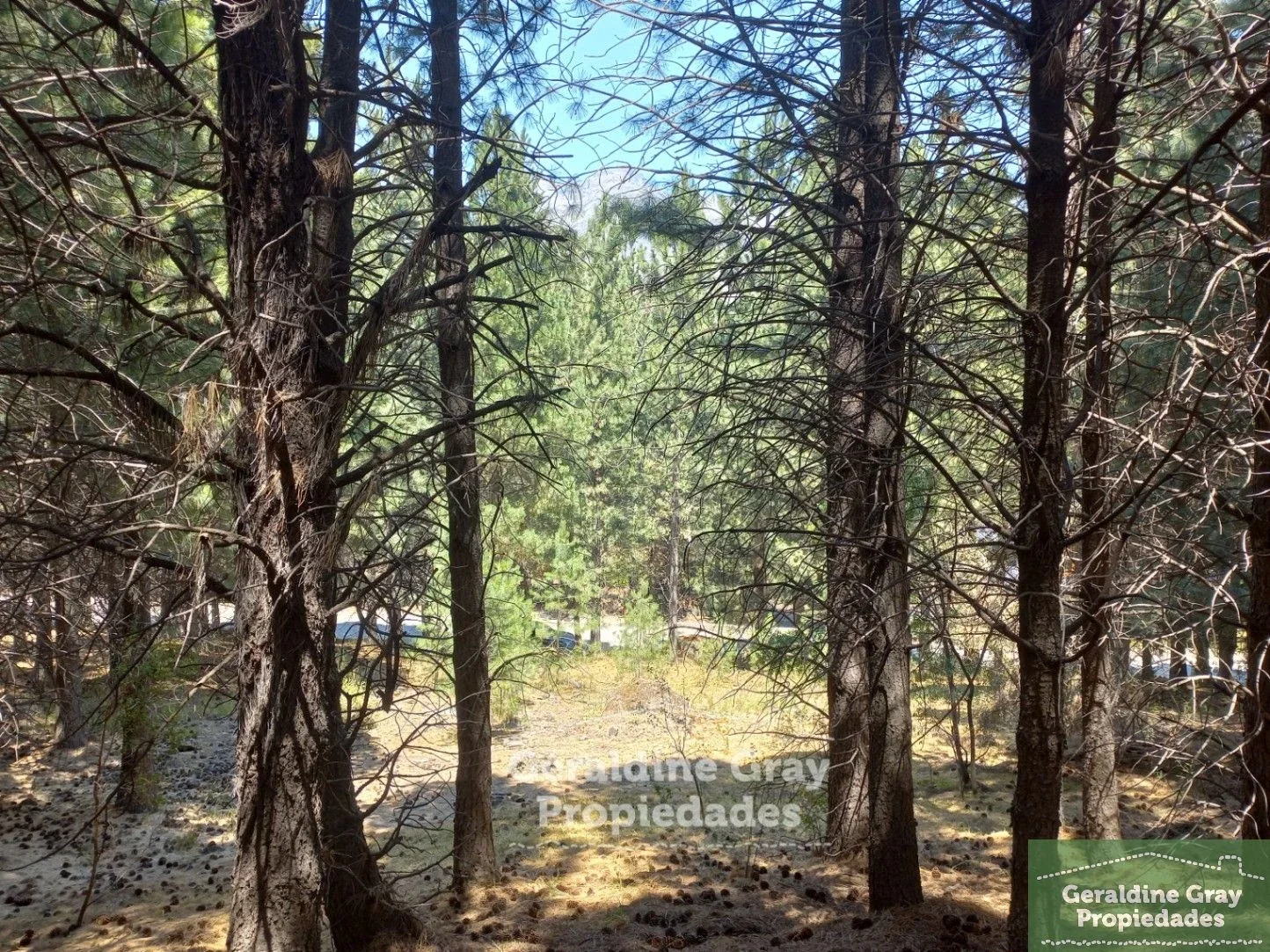 Terreno / Lote en venta de 2520m2 ubicado en Chapelco Golf & Resort - Imagen 3